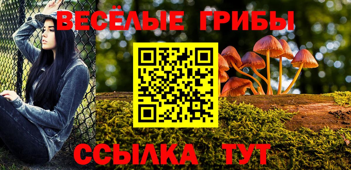 Дзержинск  Псилоцибиновые грибы MAGIC MUSHROOMS  Вход с VPN  Псилоцибиновые грибы мицелий 
